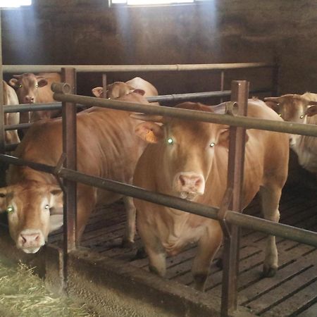 Agriturismo Ca' Del Gal Valeggio sul Mincio Eksteriør bilde