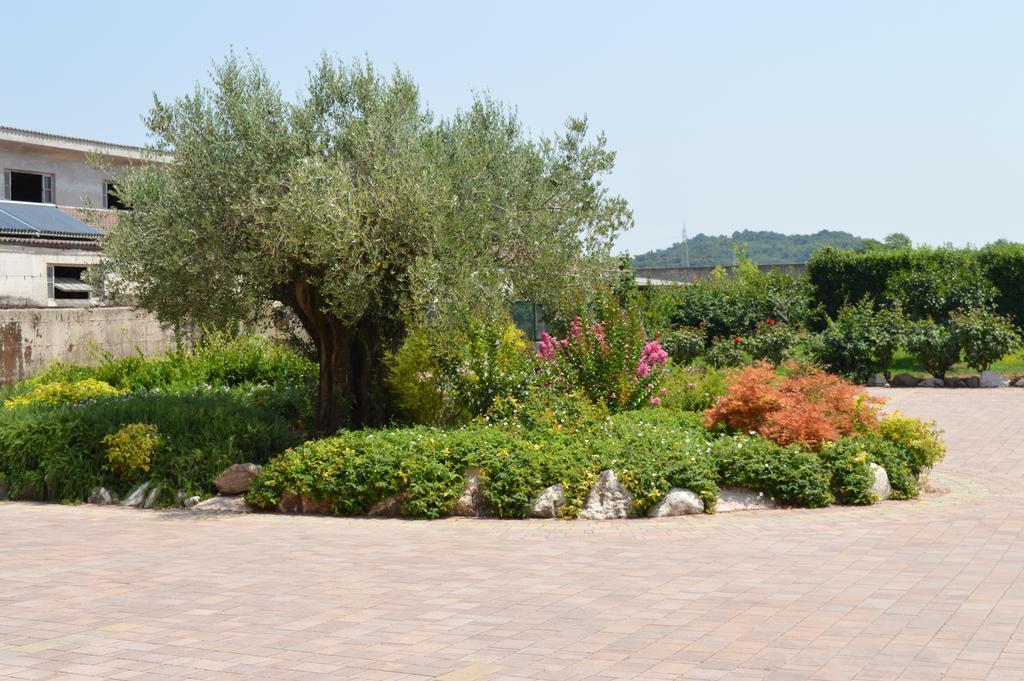 Agriturismo Ca' Del Gal Valeggio sul Mincio Eksteriør bilde