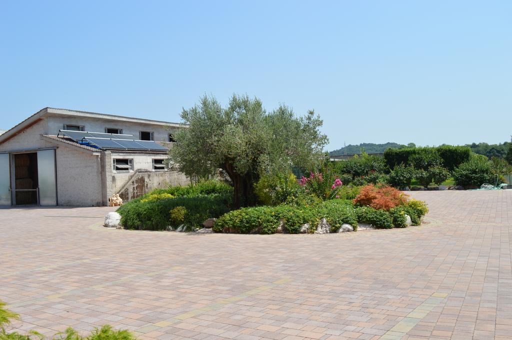 Agriturismo Ca' Del Gal Valeggio sul Mincio Eksteriør bilde