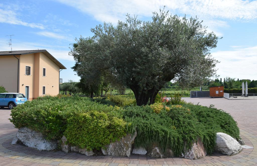 Agriturismo Ca' Del Gal Valeggio sul Mincio Eksteriør bilde
