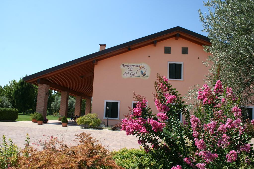 Agriturismo Ca' Del Gal Valeggio sul Mincio Eksteriør bilde